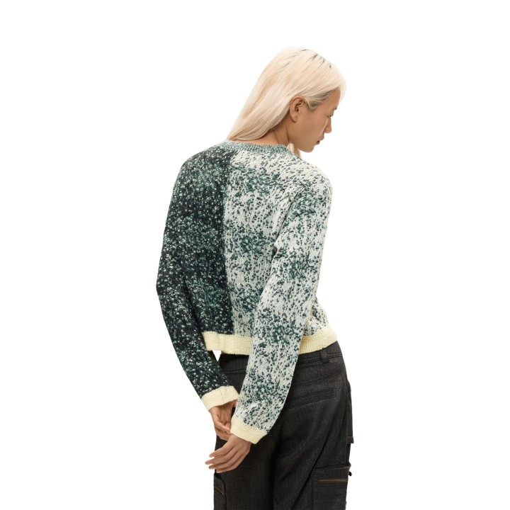 Desigual jersey de mujer verde JERS_EARTH 26WWJF16 en vista posterior