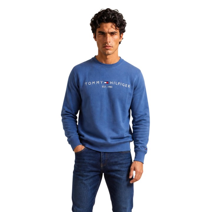 Tommy Hilfiger sudadera de hombre azul MW0MW11596 vista frontal