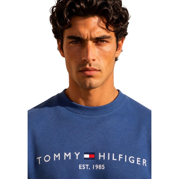 Tommy Hilfiger sudadera de hombre azul MW0MW11596 detalle frontal