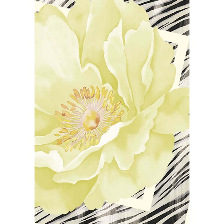 Detalle frontal de pashmina Liu-Jo gris perla con flor central