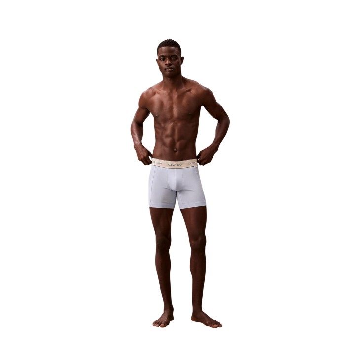 Calvin Klein Underwear bóxer de hombre LV00NB4447 gris vista frontal