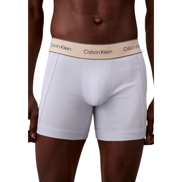 Detalle frontal del bóxer gris de hombre Calvin Klein Underwear LV00NB4447