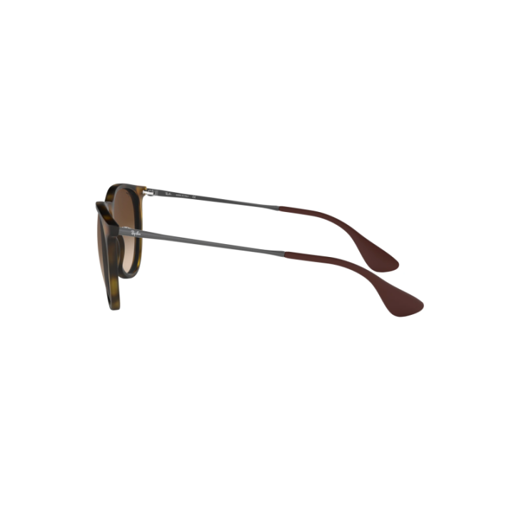 Gafas de sol Ray-Ban RB4171 Erika carey marrón con cristales marrón vista lateral