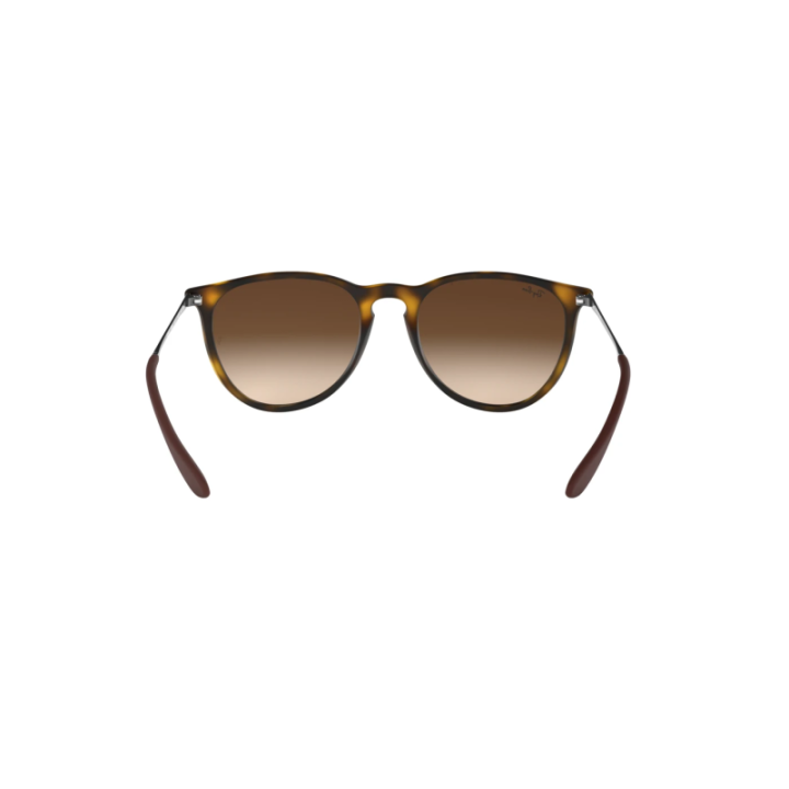Gafas de sol Ray-Ban RB4171 Erika carey marrón con cristales marrón vista dorsal